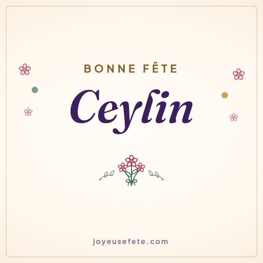 Image carrée « Bonne fête Ceylin » pour WhatsApp