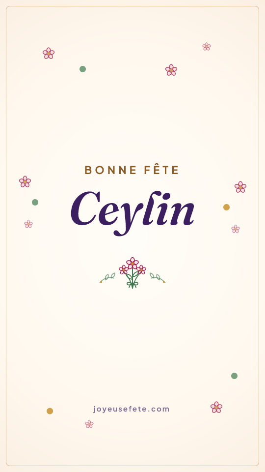 Image « Bonne fête Ceylin » au format story
