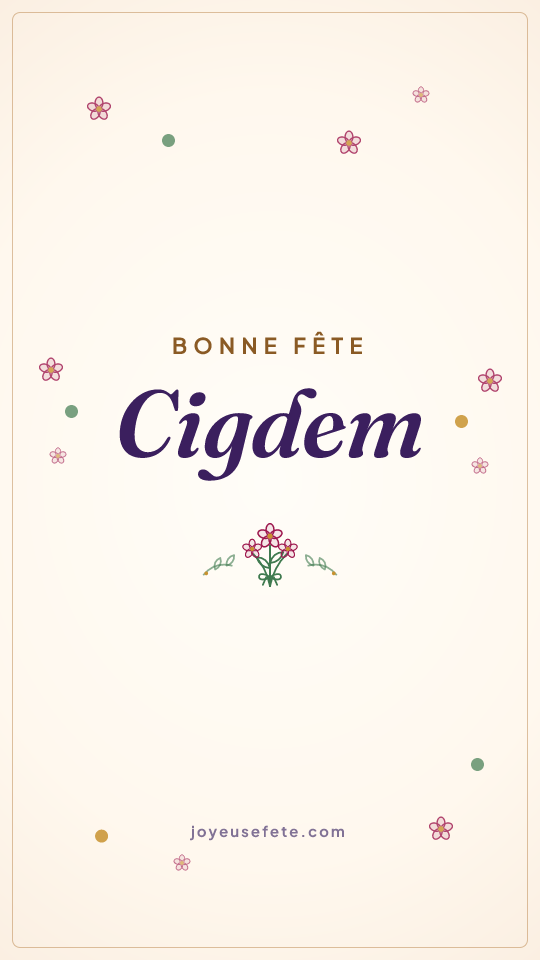 Image « Bonne fête Cigdem » au format story
