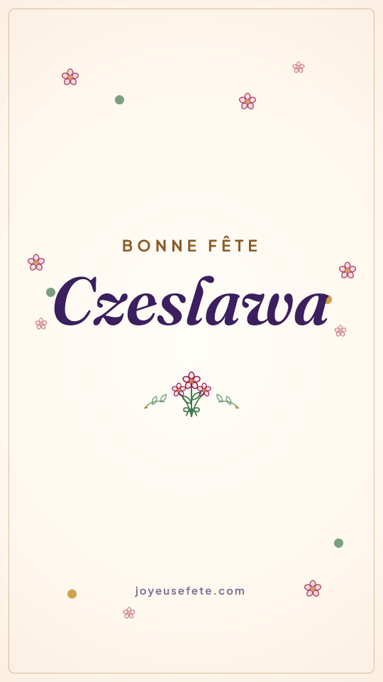Image « Bonne fête Czeslawa » au format story