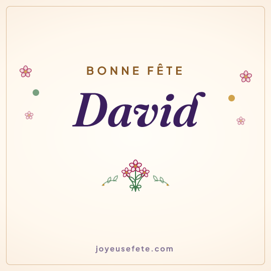 Image carrée « Bonne fête David » pour WhatsApp