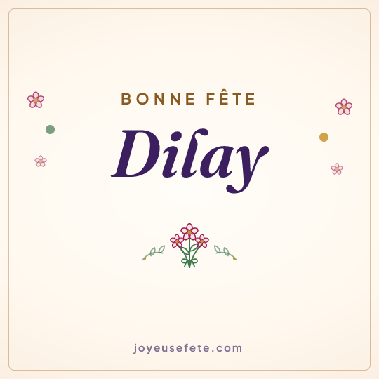 Image carrée « Bonne fête Dilay » pour WhatsApp
