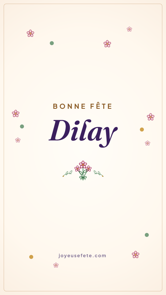 Image « Bonne fête Dilay » au format story