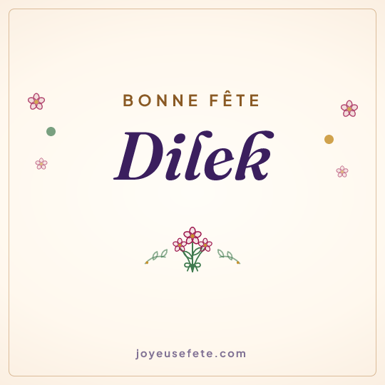 Image carrée « Bonne fête Dilek » pour WhatsApp