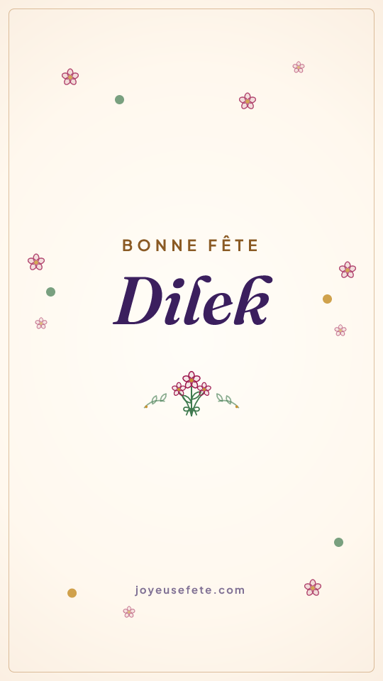 Image « Bonne fête Dilek » au format story