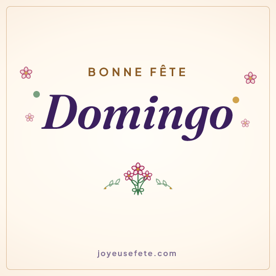 Image carrée « Bonne fête Domingo » pour WhatsApp