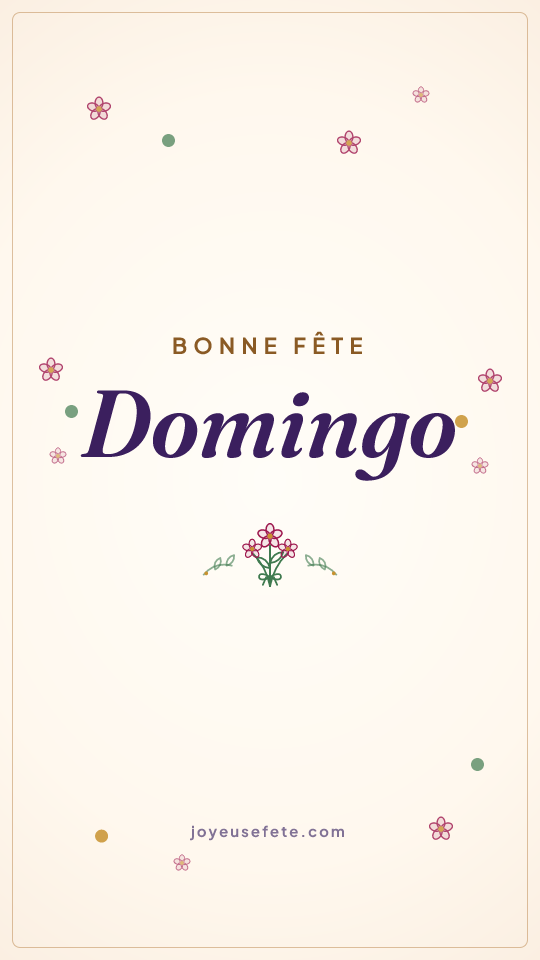 Image « Bonne fête Domingo » au format story