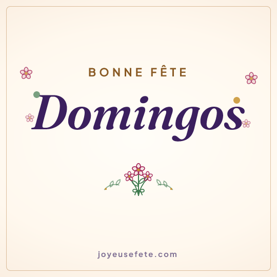 Image carrée « Bonne fête Domingos » pour WhatsApp