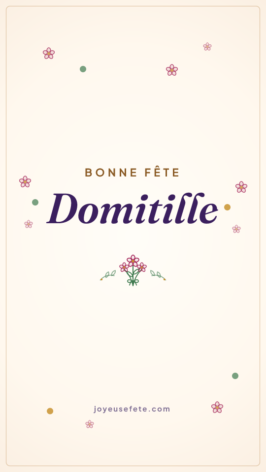 Image « Bonne fête Domitille » au format story