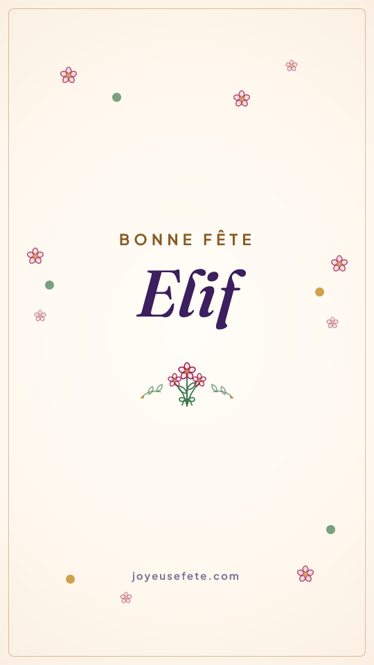 Image « Bonne fête Elif » au format story
