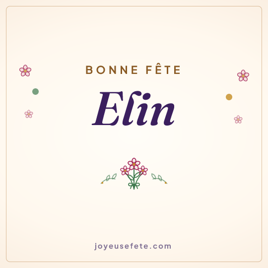 Image carrée « Bonne fête Elin » pour WhatsApp
