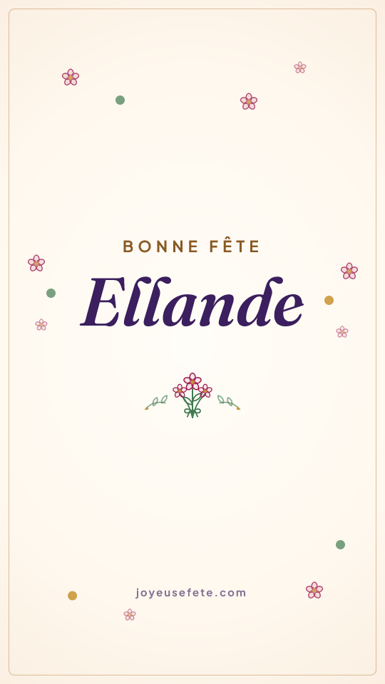 Image « Bonne fête Ellande » au format story