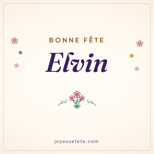 Image carrée « Bonne fête Elvin » pour WhatsApp