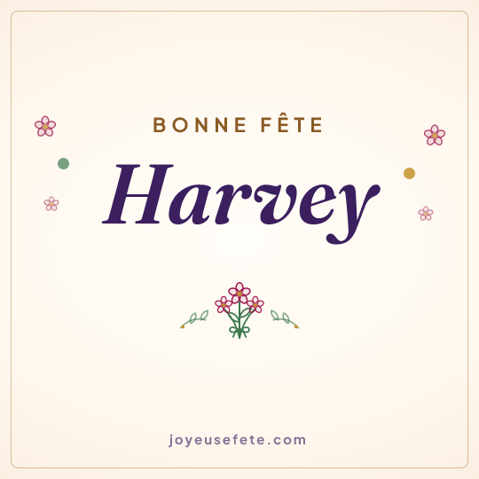 Image carrée « Bonne fête Harvey » pour WhatsApp