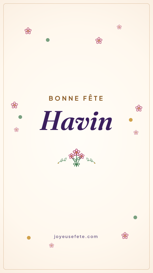 Image « Bonne fête Havin » au format story