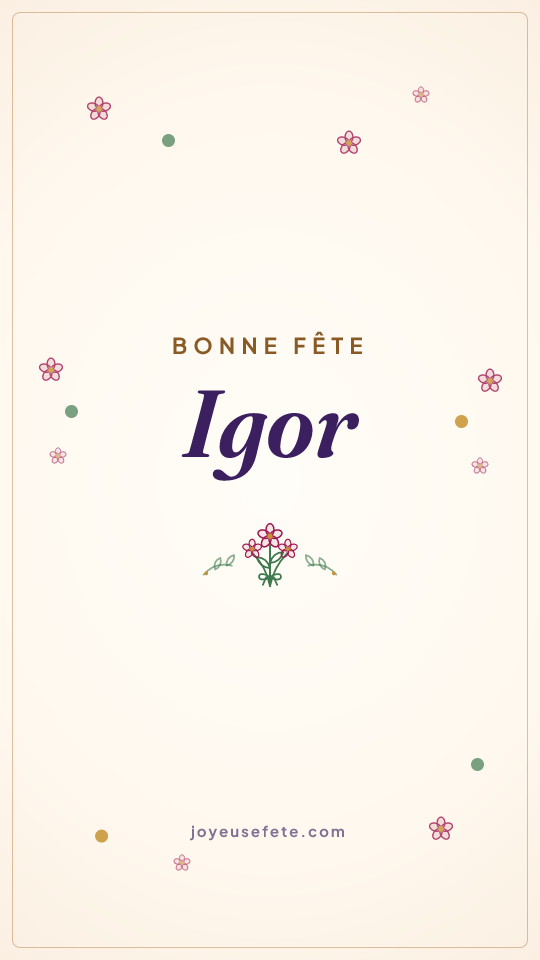 Image « Bonne fête Igor » au format story