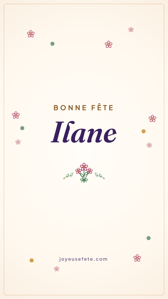 Image « Bonne fête Ilane » au format story