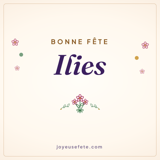 Image carrée « Bonne fête Ilies » pour WhatsApp