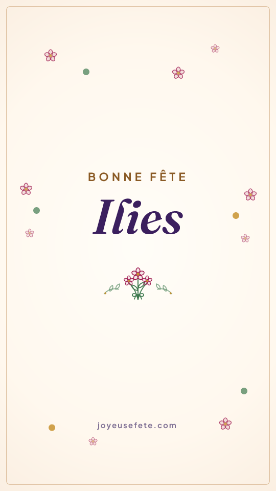 Image « Bonne fête Ilies » au format story