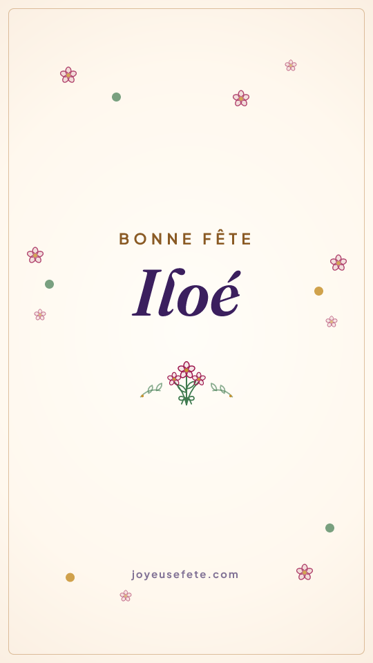 Image « Bonne fête Iloé » au format story