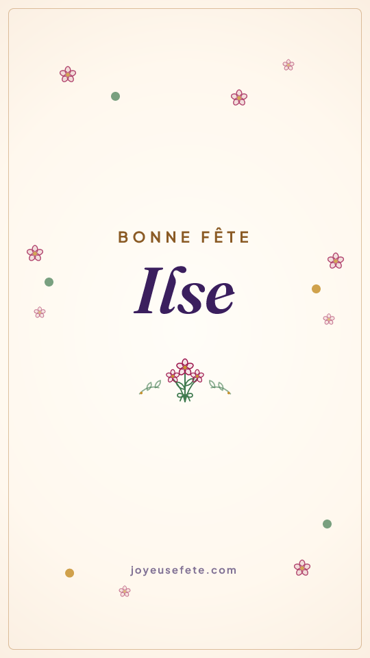 Image « Bonne fête Ilse » au format story