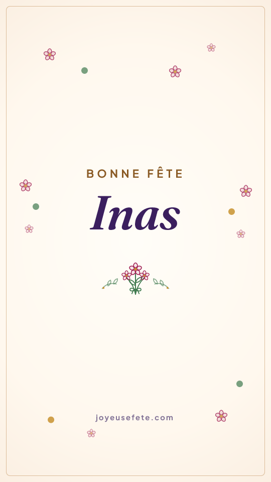 Image « Bonne fête Inas » au format story