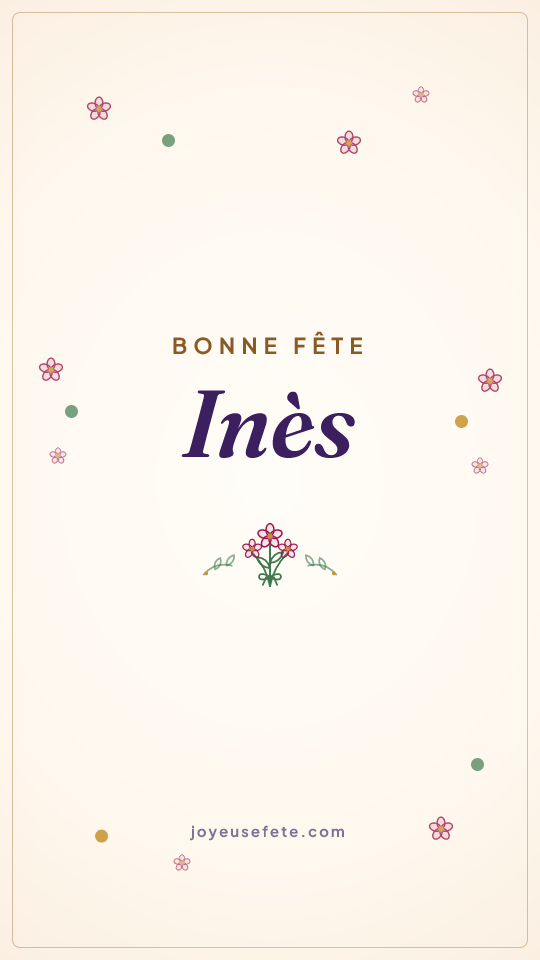 Image « Bonne fête Inès » au format story