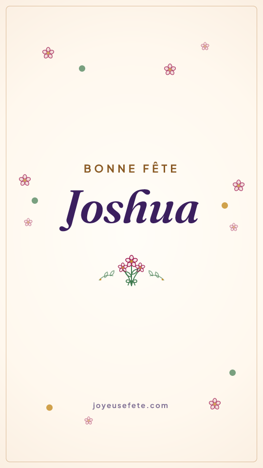 Image « Bonne fête Joshua » au format story