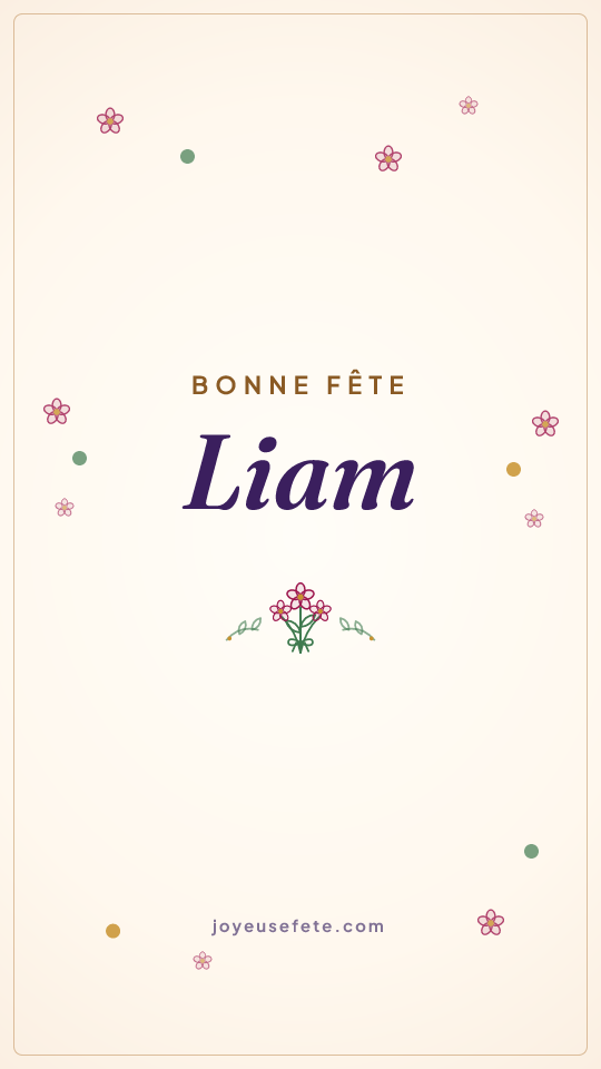 Image « Bonne fête Liam » au format story