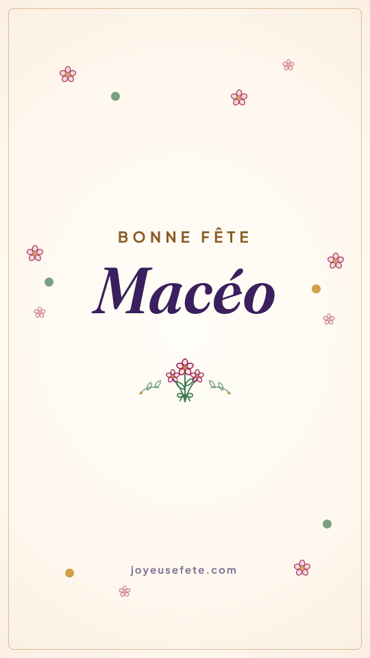 Image « Bonne fête Macéo » au format story