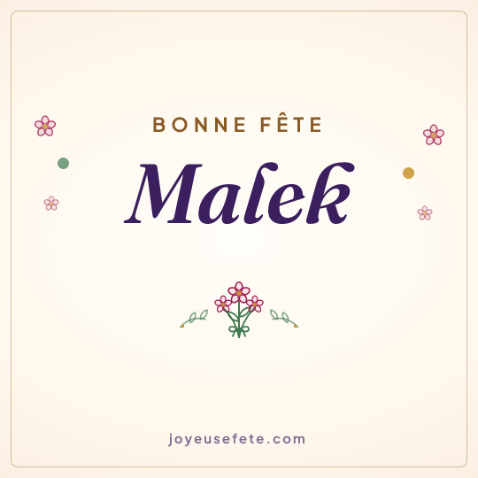 Image carrée « Bonne fête Malek » pour WhatsApp