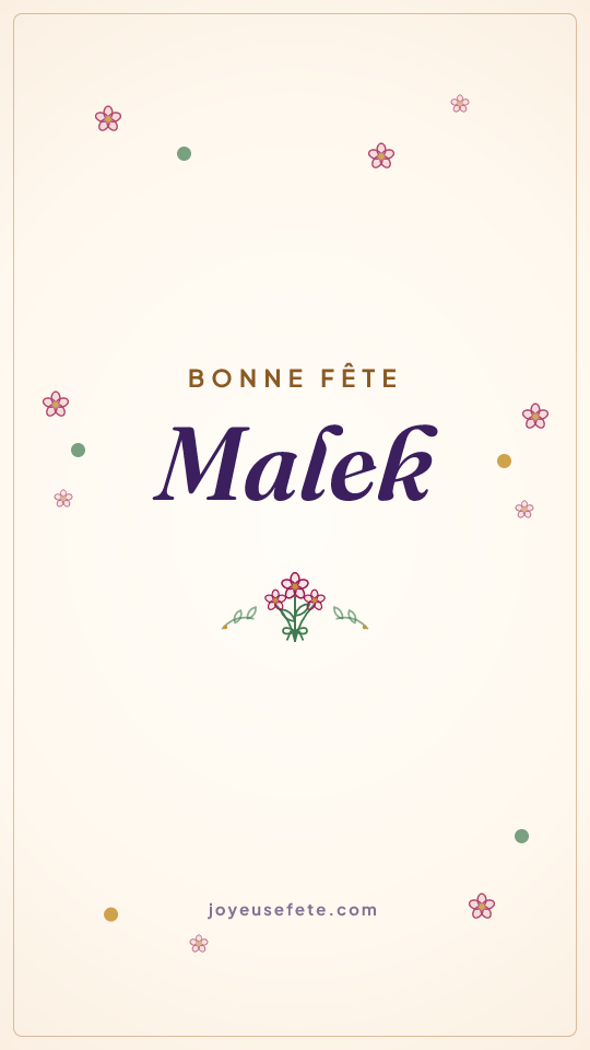 Image « Bonne fête Malek » au format story
