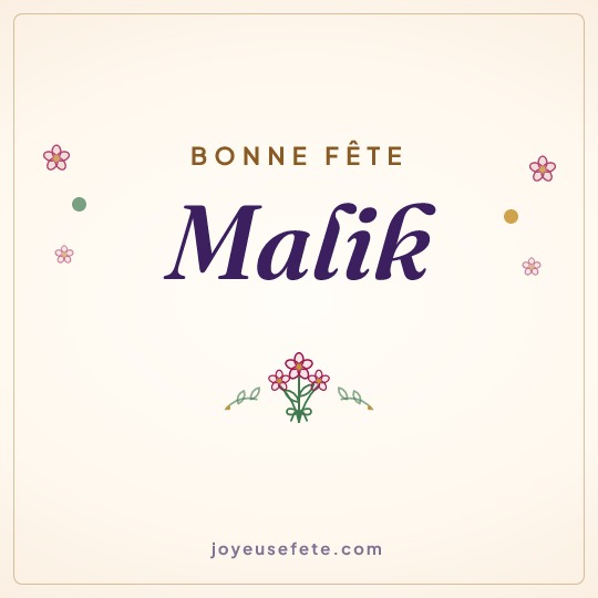Image carrée « Bonne fête Malik » pour WhatsApp