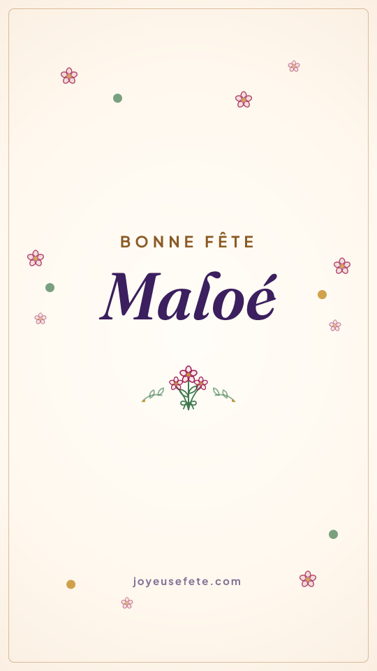 Image « Bonne fête Maloé » au format story