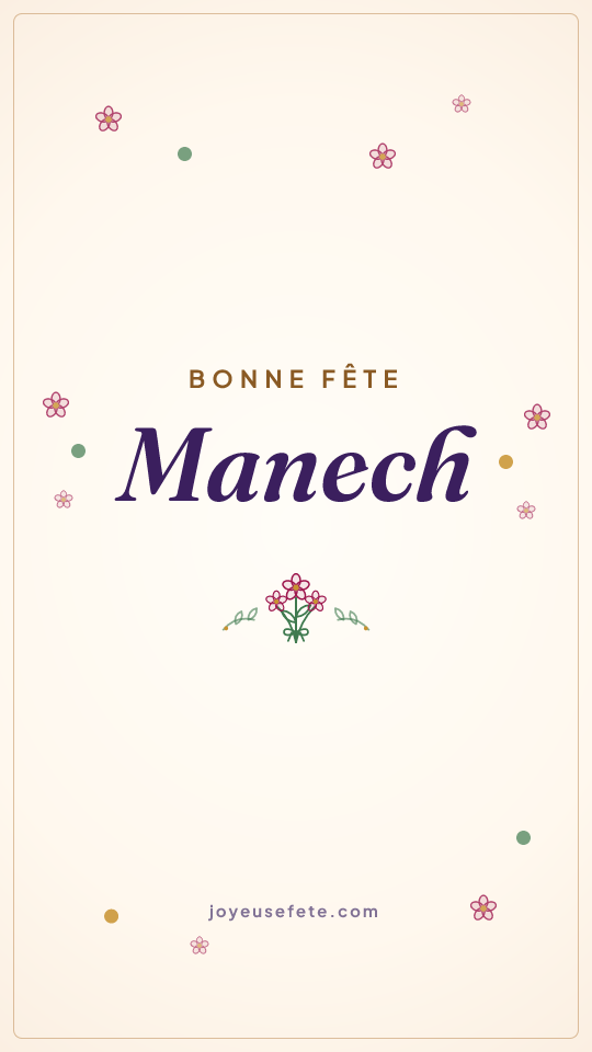 Image « Bonne fête Manech » au format story