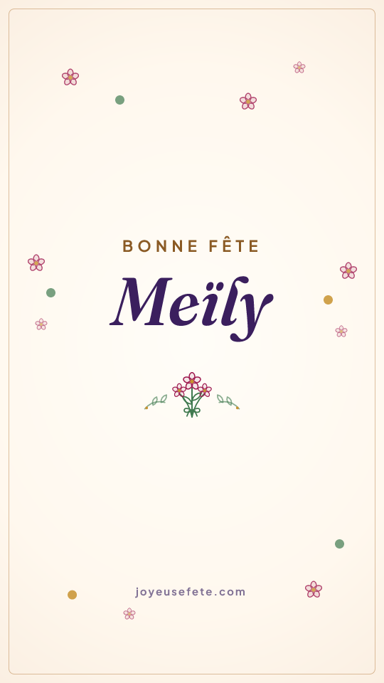 Image « Bonne fête Meïly » au format story