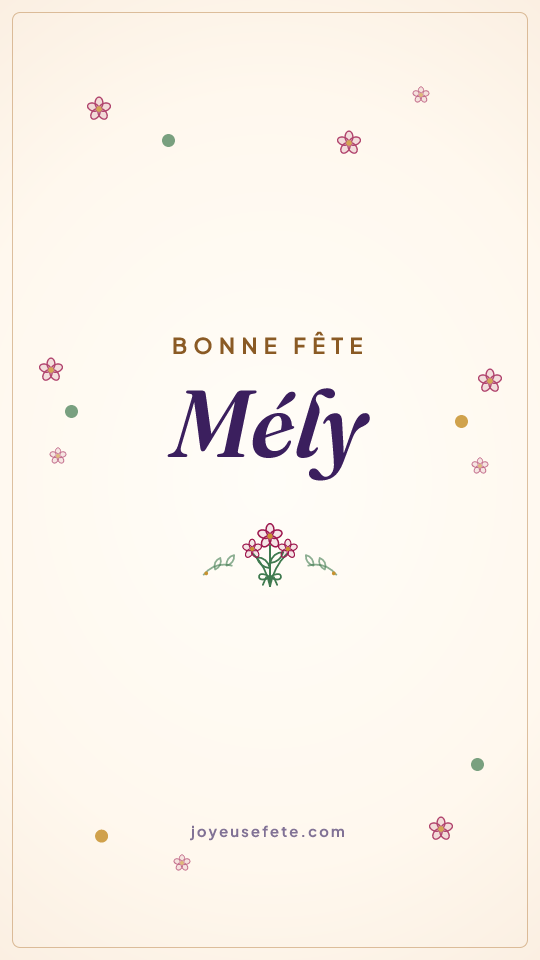 Image « Bonne fête Mély » au format story