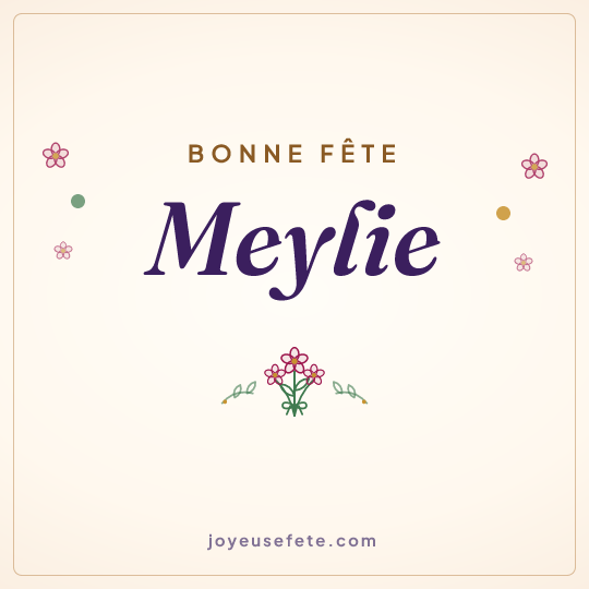 Image carrée « Bonne fête Meylie » pour WhatsApp