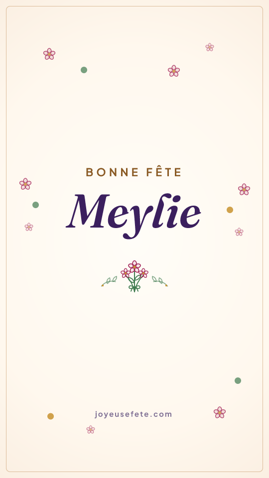 Image « Bonne fête Meylie » au format story
