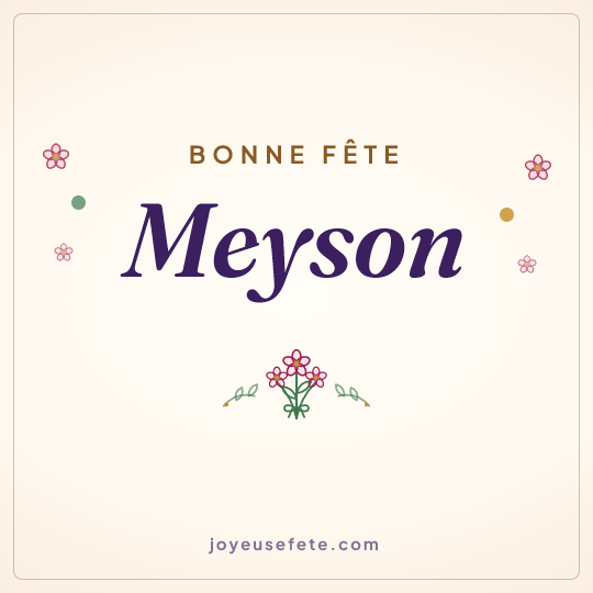 Image carrée « Bonne fête Meyson » pour WhatsApp