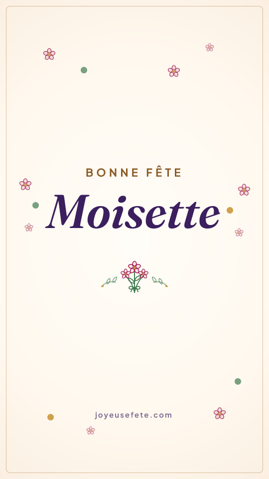 Image « Bonne fête Moisette » au format story