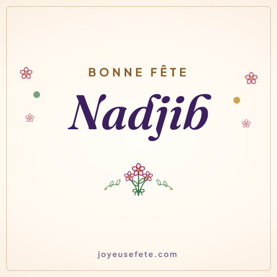 Image carrée « Bonne fête Nadjib » pour WhatsApp