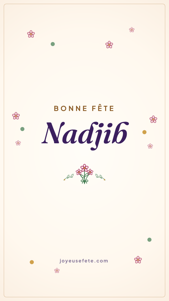 Image « Bonne fête Nadjib » au format story