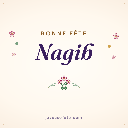 Image carrée « Bonne fête Nagib » pour WhatsApp