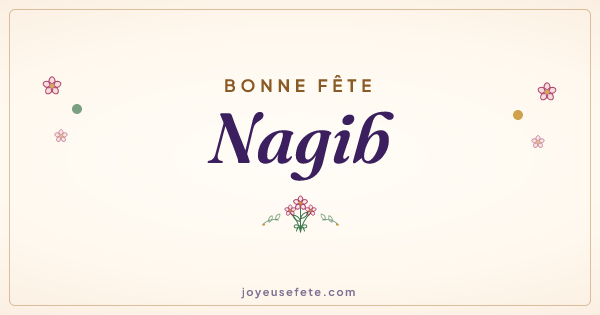 Image « Bonne fête Nagib » au format large