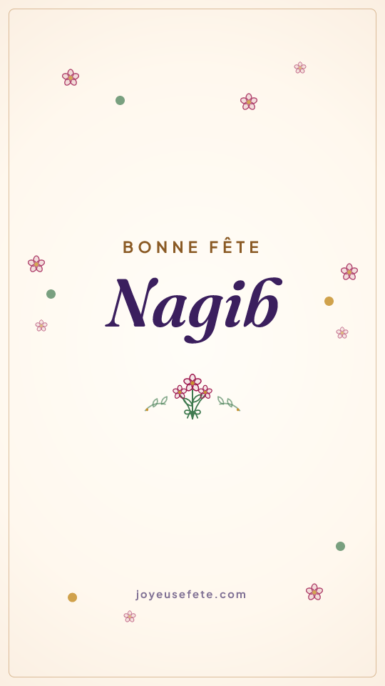 Image « Bonne fête Nagib » au format story