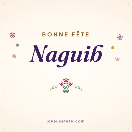 Image carrée « Bonne fête Naguib » pour WhatsApp