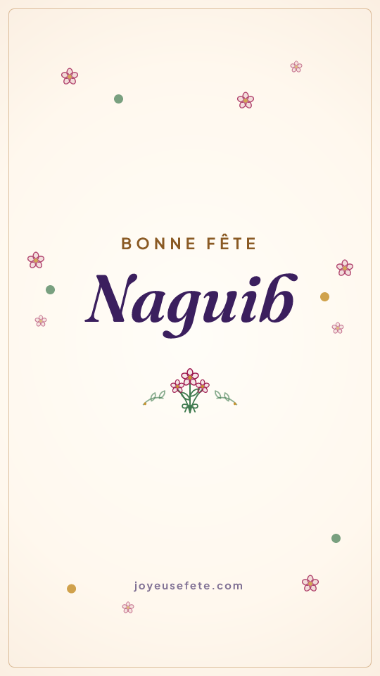 Image « Bonne fête Naguib » au format story