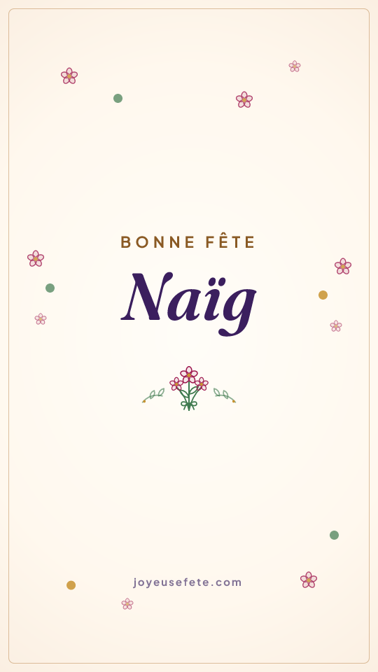 Image « Bonne fête Naïg » au format story