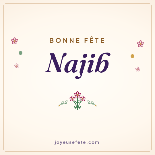 Image carrée « Bonne fête Najib » pour WhatsApp